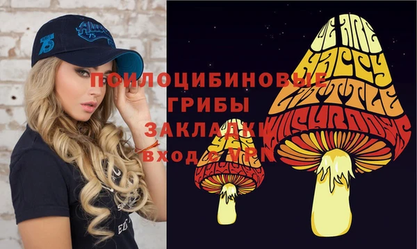 экстази Баксан