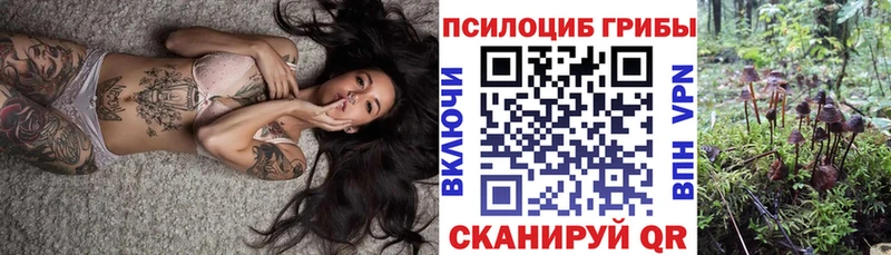 Псилоцибиновые грибы Magic Shrooms  магазин  наркотиков  Лакинск 